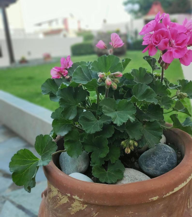 Villa Aphrodite Kolymbari Esterno foto