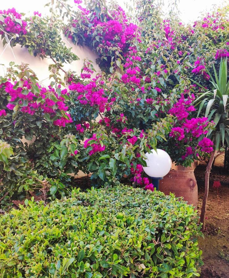 Villa Aphrodite Kolymbari Esterno foto